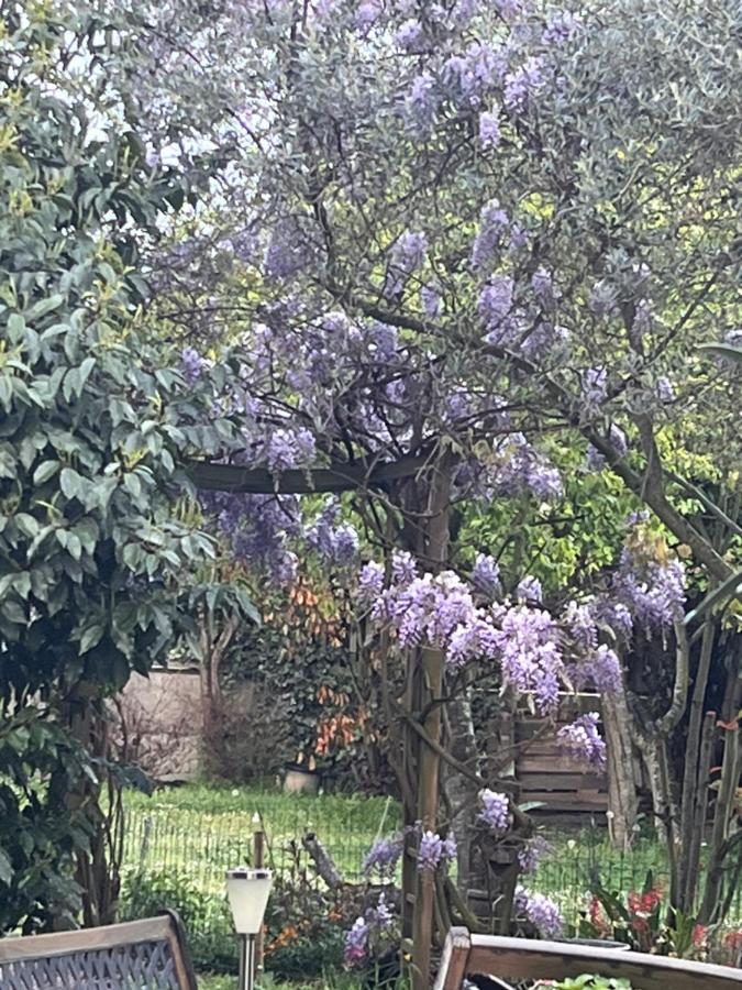 A Room And Garden Close To Paris Vitry-sur-Seine Exterior foto